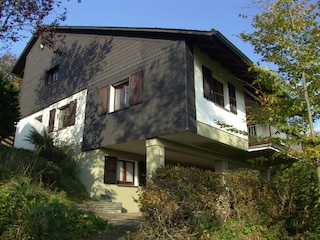 Blick aus dem Garten