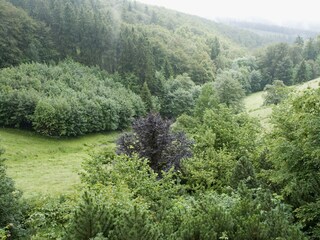 Holiday house Schmallenberg  22