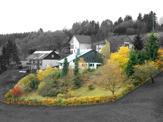 Holiday house Schmallenberg  21