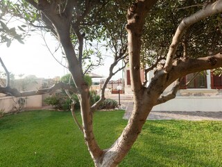 Appartamento per vacanze San Vincenzo Registrazione all'aperto 5