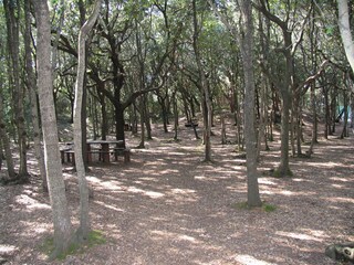 Appartamento per vacanze San Vincenzo Ambiente 38