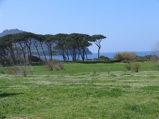 Apartamento de vacaciones San Vincenzo Entorno 33