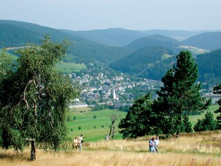 Willingen - Nr.1 Wanderregion im Sauerland