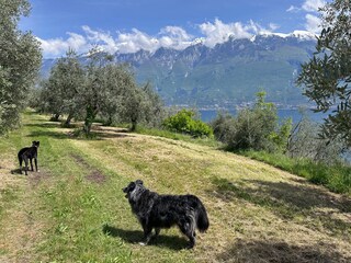Vakantieappartement Tignale  22