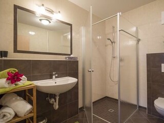 Appartamento per vacanze Hippach Caratteristiche 13