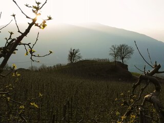 Appartamento per vacanze Lana Ambiente 19