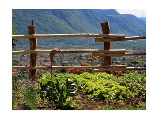 Appartamento per vacanze Lana Registrazione all'aperto 7