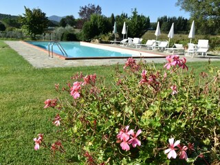Vakantieappartement Caldana Zwembad 35