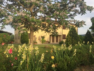 Appartamento per vacanze Caldana Registrazione all'aperto 9