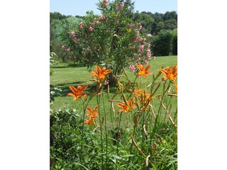 Vakantieappartement Caldana Buitenaudio-opname 21