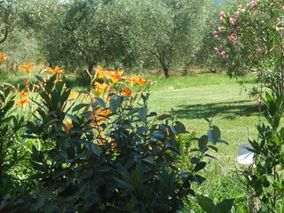 Vakantieappartement Caldana Omgeving 19