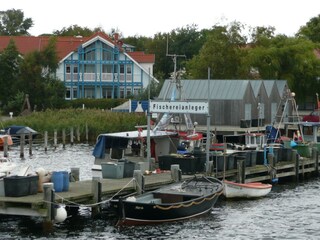 Casa per le vacanze Rerik Ambiente 34