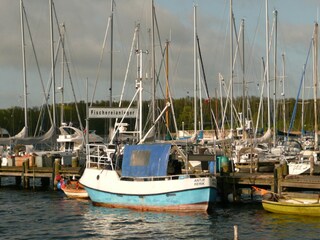 Rerik Hafen am Haff