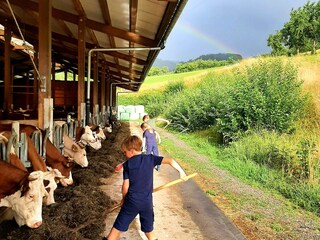 Arbeiten unterm Regenbogen