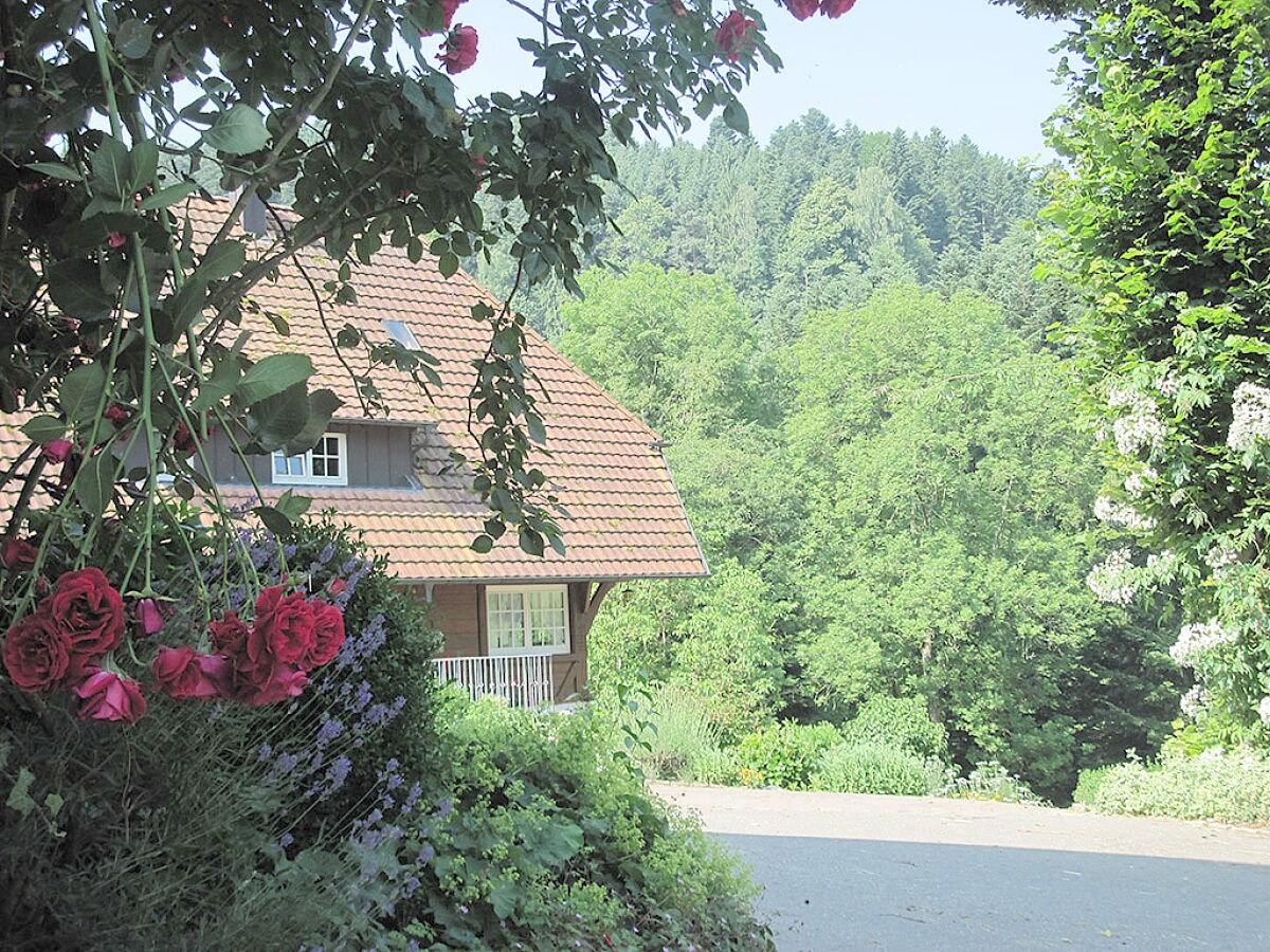 Ferienwohnung Auf Dem Halterhof Zell Am Harmersbach Familie