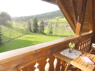 Blick ins Tal vom Balkon
