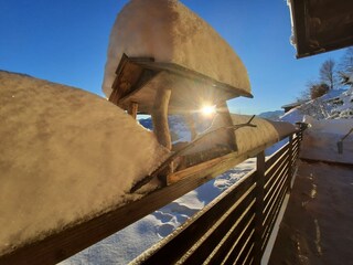 Casa per le vacanze Egg in Vorarlberg Registrazione all'aperto 13