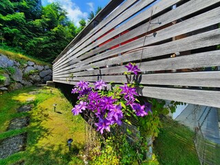 Casa per le vacanze Egg in Vorarlberg Registrazione all'aperto 6