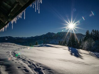 Casa per le vacanze Egg in Vorarlberg Ambiente 25