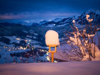 Vakantiehuis Egg in Vorarlberg Buitenaudio-opname 13
