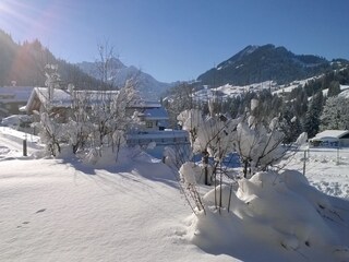 Appartamento per vacanze Riezlern Ambiente 12