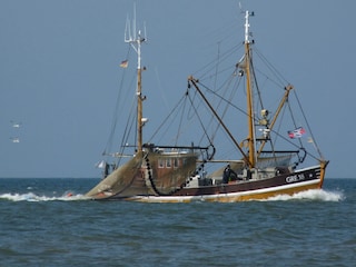 Fischkutter vor Borkum