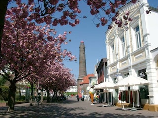 Die Strandstraße auf Borkum in voller Blüte