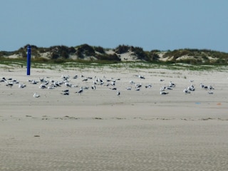 Unendliche Weite auf Borkum