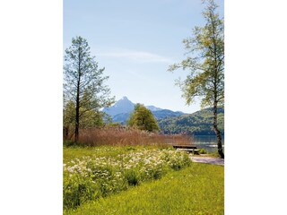 Rundweg um den Weissensee