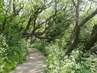 Casa per le vacanze Domburg Ambiente 20