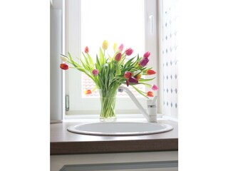 Appartamento Wyk auf Föhr Caratteristiche 11