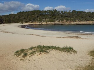 Casa per le vacanze Santanyi Ambiente 23
