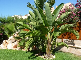 Casa per le vacanze Santanyi Registrazione all'aperto 6