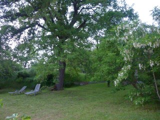 Vakantieappartement Bucine Buitenaudio-opname 8