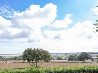 Villa Es Llombards Ambiente 36