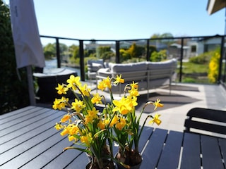 Chalet Noordwijk Außenaufnahme 9
