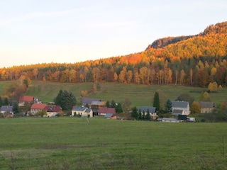 Herbstaufnahme