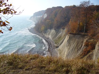 Kreidefelsen im Herbst
