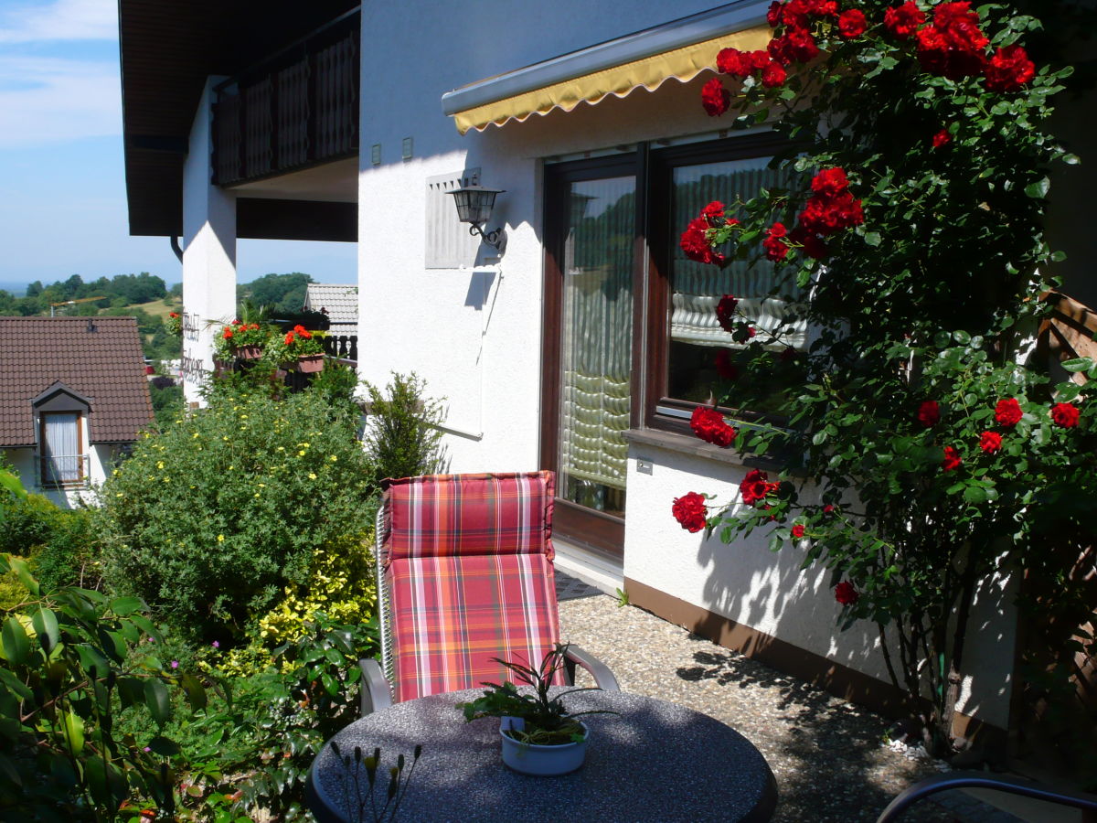 Entrance to the appartement with terrace