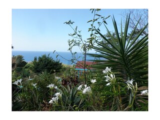 Appartamento per vacanze Pointe Noire Ambiente 7