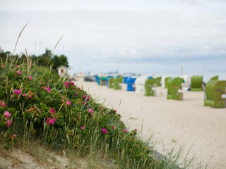Ferienwohnung Alkersum Außenaufnahme 2