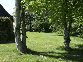 Blick in den Nordteil des Gartens