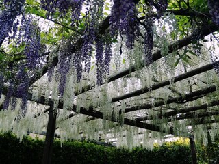 Vakantieappartement Orvieto Buitenaudio-opname 12