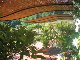 Vakantieappartement Orvieto Buitenaudio-opname 4