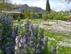 Ripa d'Elce, Ferienwohnung Glicine - Orvieto - image1