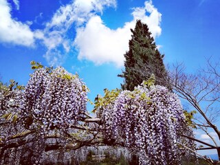 Vakantieappartement Orvieto Buitenaudio-opname 11