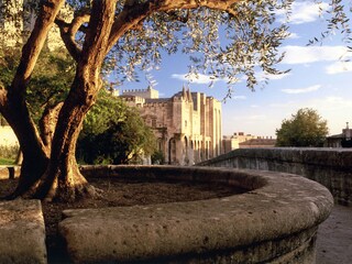Casa per le vacanze Vaison-la-Romaine Ambiente 16