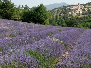 Casa per le vacanze Vaison-la-Romaine Ambiente 17