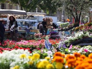 Casa per le vacanze Vaison-la-Romaine Ambiente 19