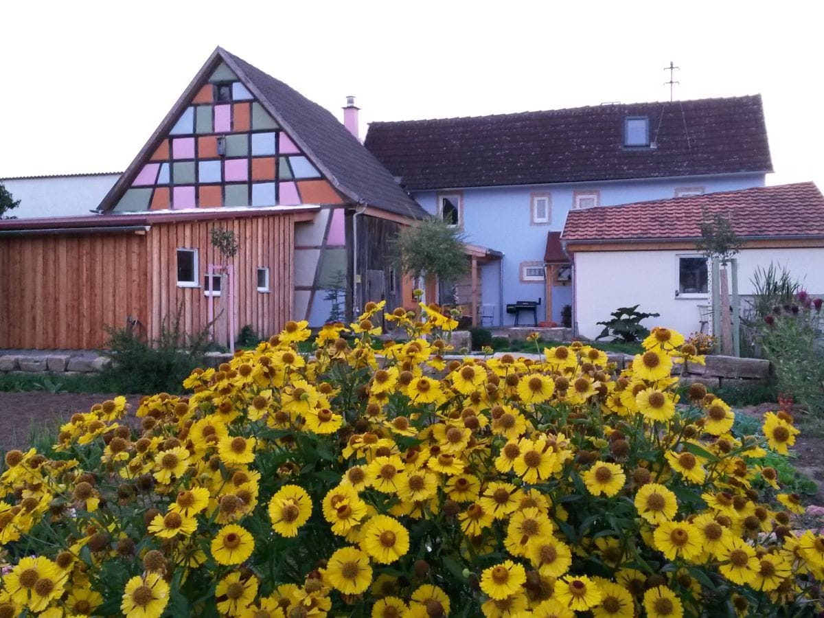 Kimmelsbacher Hof von Osten